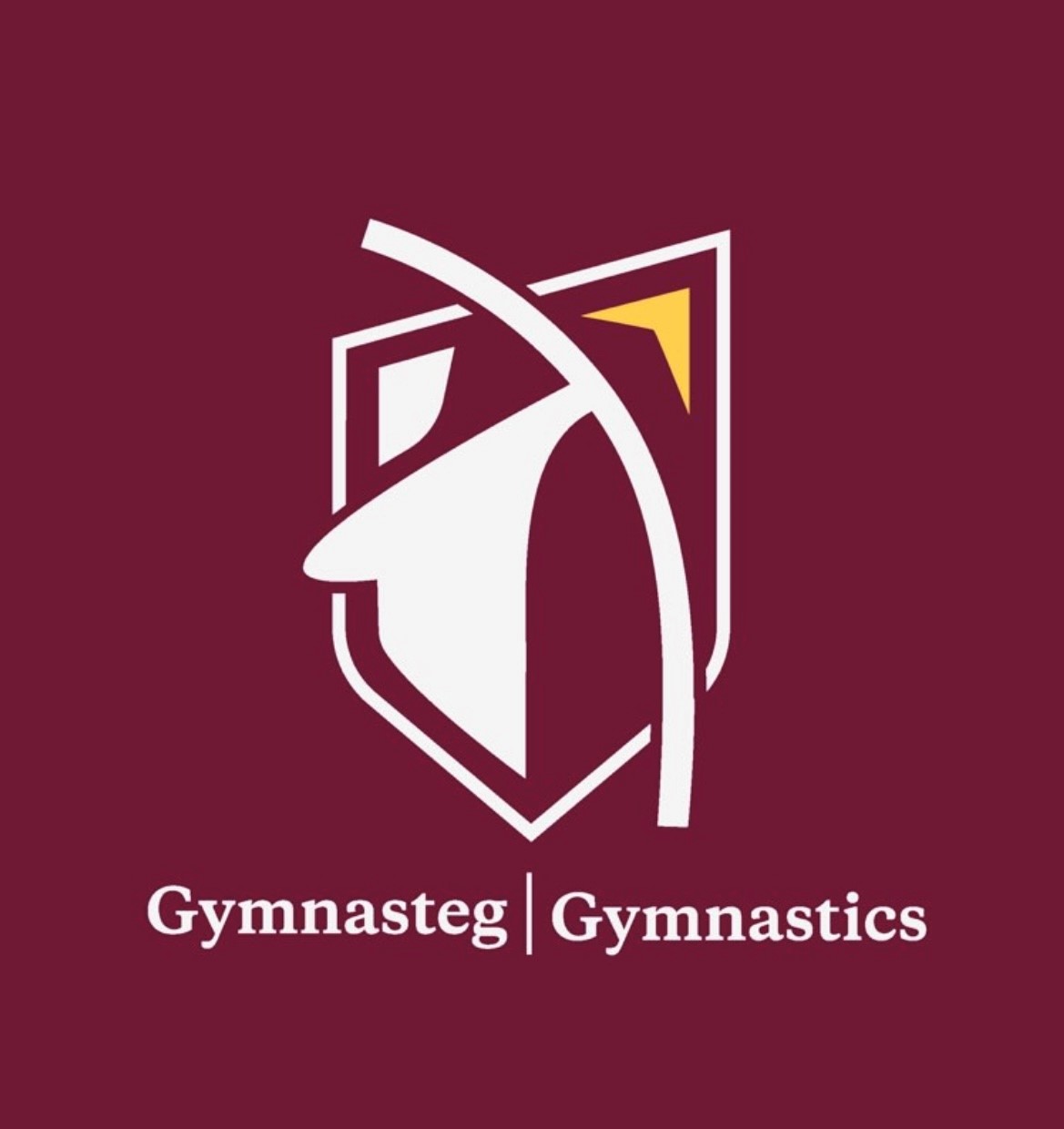 Gymnastics Summer Camp 2026 - FULL DAY
