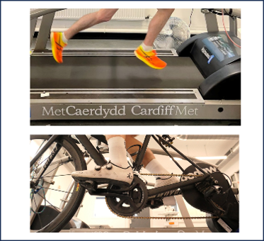 Sport Physiology Hub - Exercise Efficiency Test (Economy)